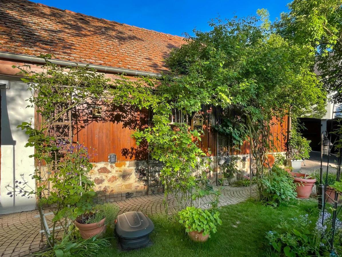 Ferienhaus Burgblick Munzenberg Екстер'єр фото